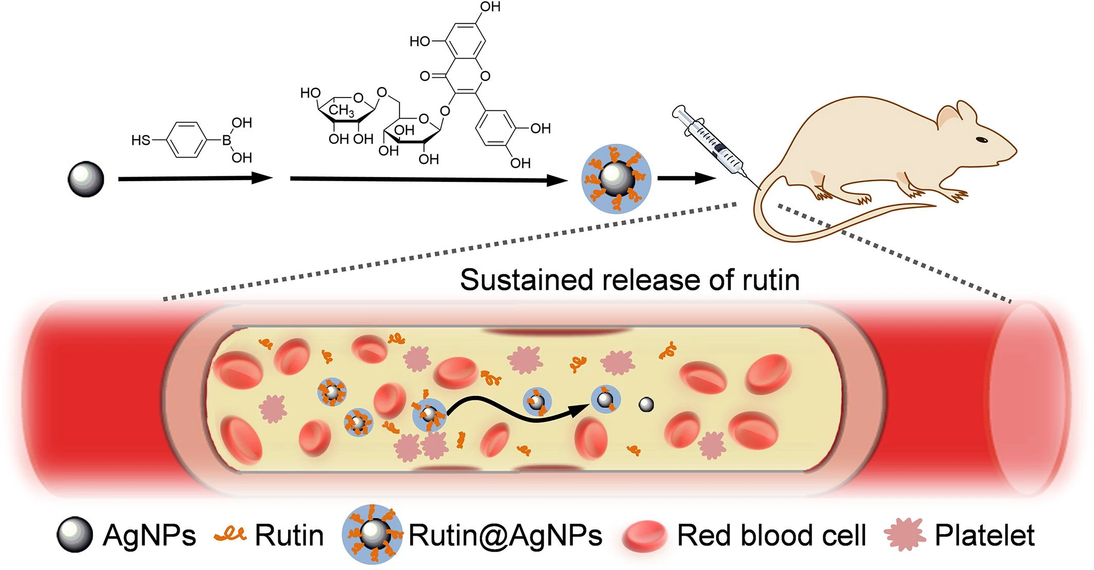Rutin powder 31
