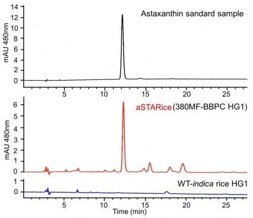 Astaxanthin powder.111png