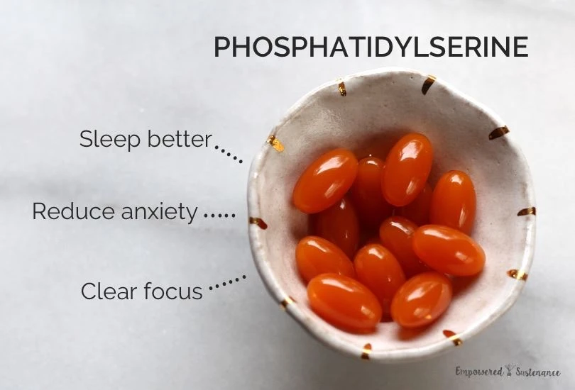 Phosphatidylserine Functions 1